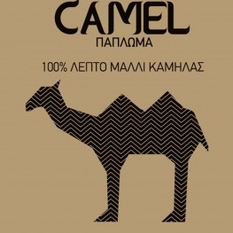 camel3_01